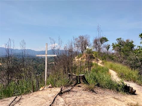 Bukit Padang Hiking Trails At Tun Fuad Stephens Park Meowtainpeople