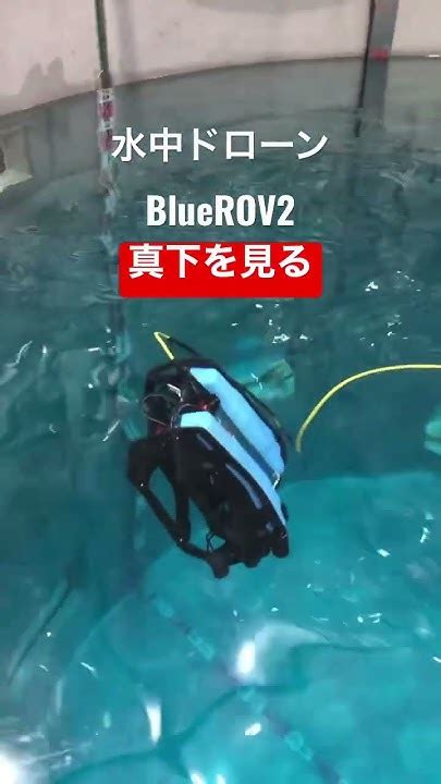 水中ドローンbluerov2 で真下の様子を見る。 水中撮影 水中ドローン Bluerov2 水中調査 インフラ点検 Youtube