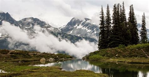 A Guide To The Harmony Lake Trail Whistler 10adventures