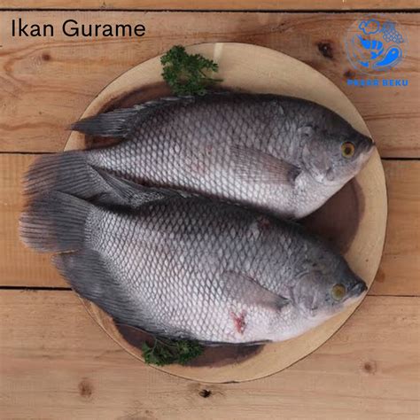 Jual Ikan Gurame Segar Food Fresh Ikan 500gr Pasar Beku Padang Shopee