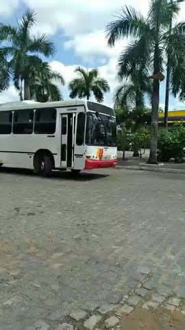 Motorista Do Nibus Feirantes Da Cidade De Guarabira Na Para Ba Youtube