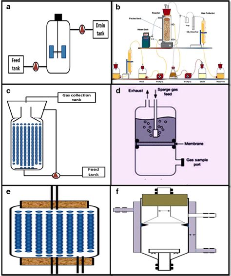 Different Bioreactor Configuration That Could Be Considered For