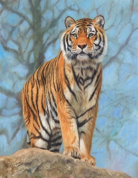 oil paintings  tiger