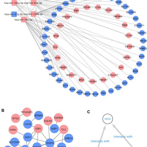 The Construction Of MRNA MiRNA LncRNA Regulatory Network A The