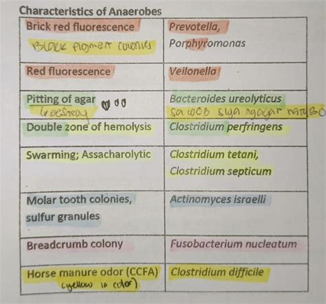 Anaerobic Bacteriology Flashcards Quizlet