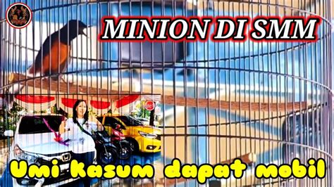 Murai Batu Minion Di Smm Umi Kasum Dapat Mobil Youtube