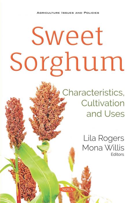 Sorghum Facts, Health Benefits And Nutritional Value, 52% OFF