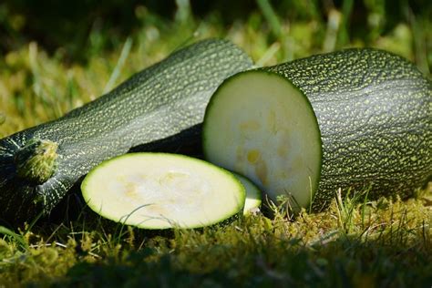 What Does Zucchini Taste Like Blogchef