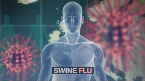 Cbbc Newsround World New Uk Swine Flu Cases In China