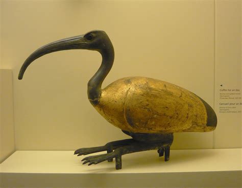 Ibis Coffin from Ancient Egypt (Illustration) - Ancient History ...