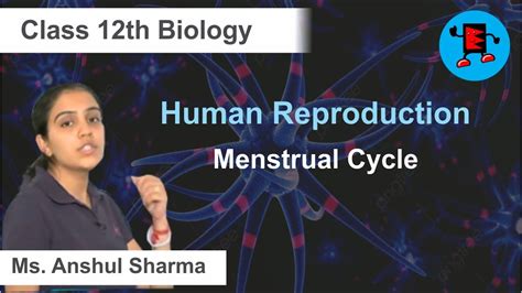 CBSE Class 12 Biology Human Reproduction Menstrual Cycle Extraminds