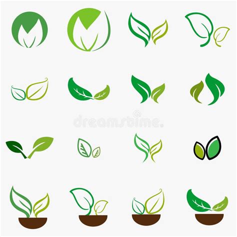 Hoja Planta Logotipo Ecología Gente Salud Verde Hojas Sistema