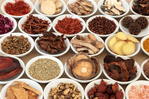 10 Types Of Traditional Medicine Design Talk