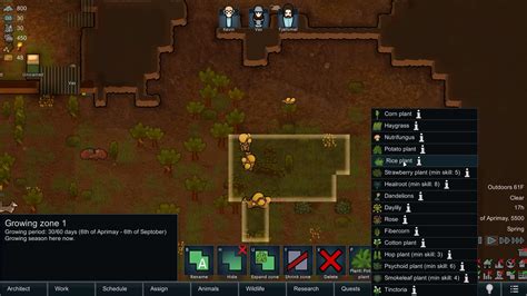 Rimworld Getting Started Guide Indie Game Culture