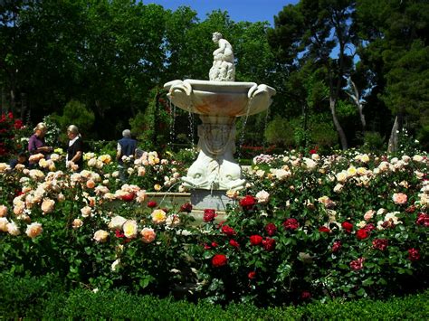 Arte Y JardinerÍa El JardÍn De Rosas