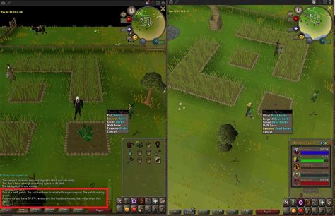 Osrs Herb Patches – Herb 101