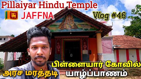 pillaiyar kovil Hindu Temple jaffna அரச மரததட பளளயர கவல