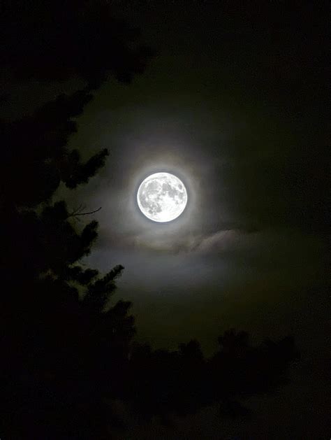 The super blue moon is out tonight for the last time until 2037 : r