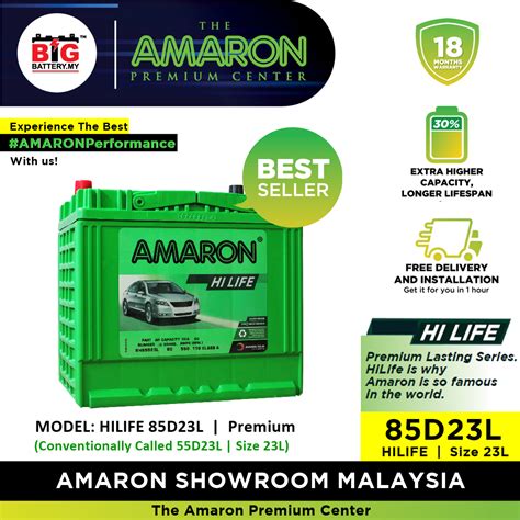 Professional Replacement D L Hilife Series Amaron Premium