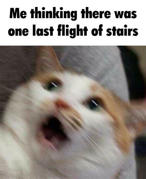 or vice versa (thinking there's no more stairs) : r/memes