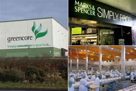 Greencore Plc News Views Pictures Video The Mirror