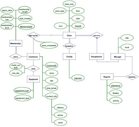 Sports Management System Project Er Diagram Database Design