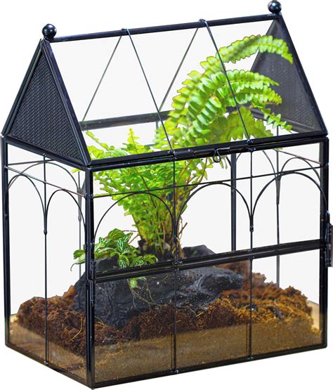 Amazon NCYP Glass Enclosure With Vent Holes For Insect Spiders