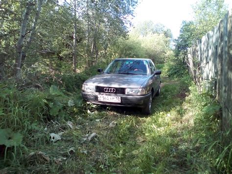 Кошка в саду взяла меня поливать Audi 80 B3 1 6 л 1991 года