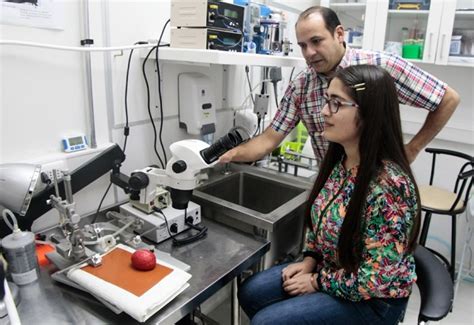 Escuela De Verano De Neurociencia Se Consolida A Nivel Nacional