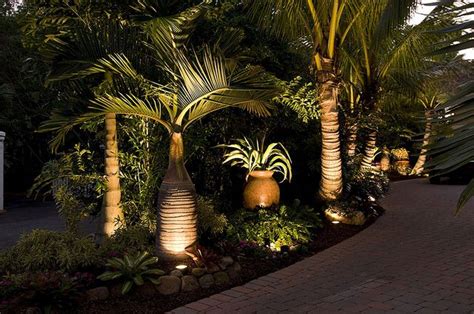 Small Garden Palm Trees