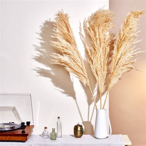 11 Pampas Grass Decor Ideas: Simple yet Elegant