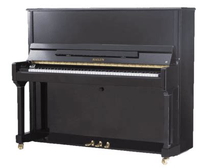 Euro Pianos Naples Introduces The Echo