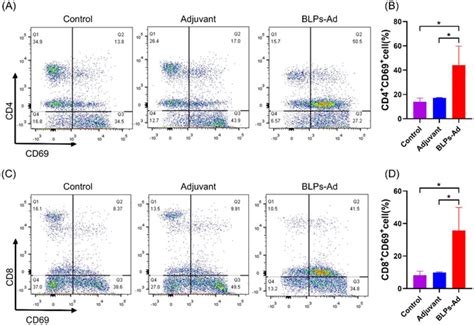 Detection of T cell activation. Flow cytometry analysis of mouse ...