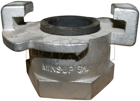 Minsup® Surelock™ Female Bsp End Dixon Valve China