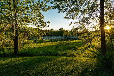 boardwalk, green, landscape, light, rays, sun, sunset, tree 4k ...