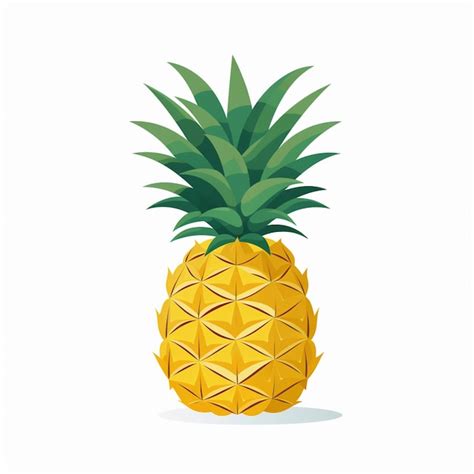 Premium Vector Pineapple Fruit Vector Tropical Illustration Juicy Food Sweet Design Fresh