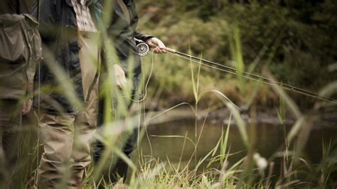 Why Irelands Wild Salmon Stock Keeps Dwindling