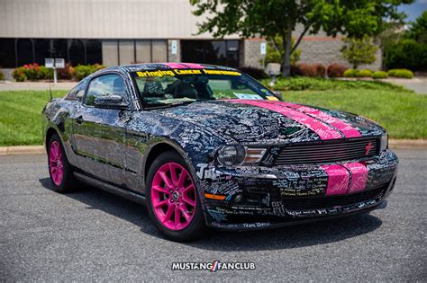 Black Mustang With Pink Stripes