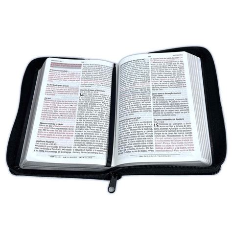 Biblia Rv 1960 Letra Grande Compacta Con Promesas Piel Especial Negra