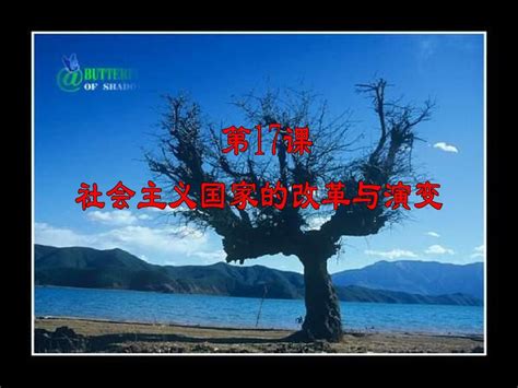 华师大版历史九下《社会主义国家的改革与演变》pptword文档在线阅读与下载无忧文档