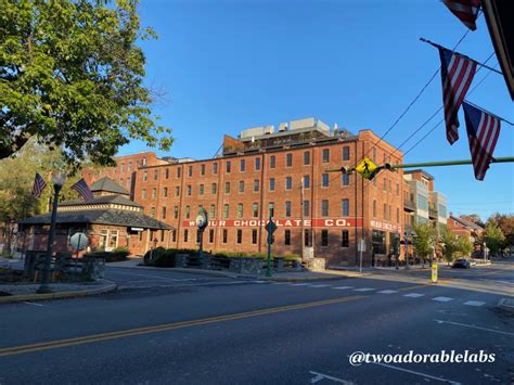 Lititz Pa America S Coolest Small Town Two Adorable Labs