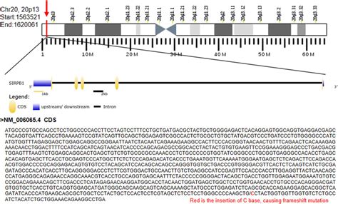 Frontiers A Frameshift Variant In The SIRPB1 Gene Confers