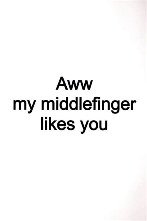 Funny Middle Finger Quotes - ShortQuotes.cc