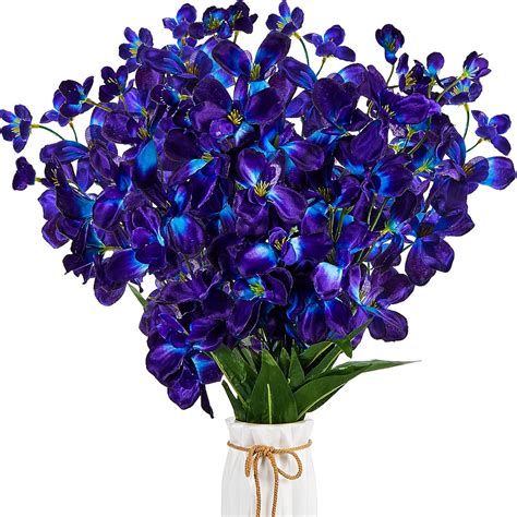 Blue And Purple Orchids