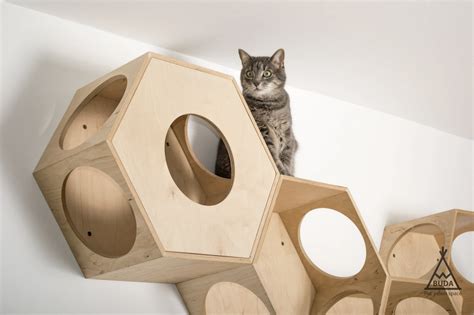 Cat Wall Climbing Systems 10 Cat Wall Furniture Brands To Know