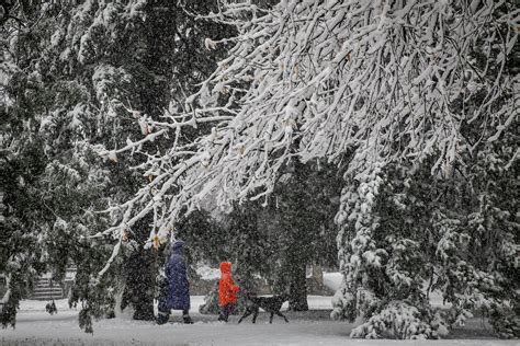 Are Colorado Roofs Prepared For The Snow? | Colorado Public Radio