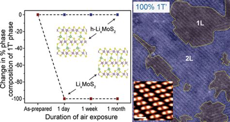 Chemical Stabilization Of T Phase Transition Metal Dichalcogenides