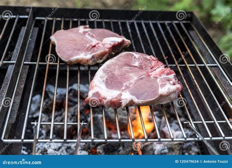 Raw T Bone Chop Of Pork On The Grill Stock Photo Image Of Picnic