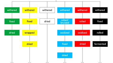 How To Read A Predictive Index Chart Index Choices