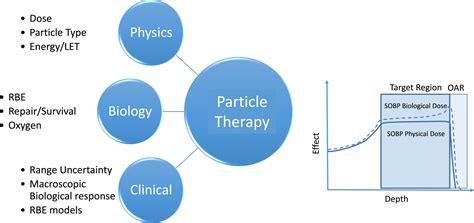 Relative Biological Effect Linear Energy Transfer In Proton Beam